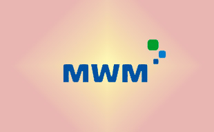 ✓ MWM 0228 5092 Запчасть MWM 